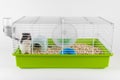 Funny hamster looking out of its cage on white