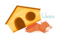 Funny Hamster Lying Under Wooden House Showing Preposition of Place Vector Illustration