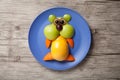 Funny hamster made of fruits