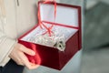 Funny hamster peeking out of red gift box, selective focus Royalty Free Stock Photo