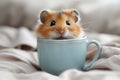 Funny hamster sitting in blue mug on gray background.