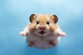 Funny hamster with stuffed cheeks smiling, flying