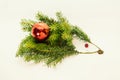 A funny handmade hedgehog from fir tree branches carrying a red ball for Christmas.