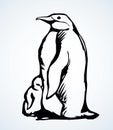 Penguin on the ice. Vector drawing Royalty Free Stock Photo