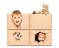 Funny happy kids and pets looking out of a torn hole in a box Royalty Free Stock Photo