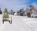 Funny happy and smiling christmas tree sliding down the ski hill slope on a sledge on a winter mountain landscape Royalty Free Stock Photo