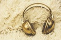 Funny headphones with golden On shaggy bedspread