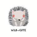 Funny hedgehog character, text Wild and cute