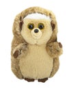 Funny hedgehog toy isolated plush on the white background Royalty Free Stock Photo
