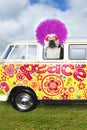 Funny Hippie Dog, VW Peace Bus Van