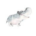 Cute baby hippo isolated on white background. Watercolor hand drawn illustration. Royalty Free Stock Photo