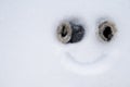 Funny homemade smiley face, with mittens instead of eyes and a painted smile on the snow. Creative idea. Copy space. Top