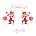 Funny horoscope with cute monkeys. Zodiac signs. Aquarius. Royalty Free Stock Photo