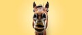 Funny horse face on a colored background Royalty Free Stock Photo