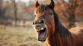 funny horses, funny animal face. laugh animal. Generative Ai Royalty Free Stock Photo