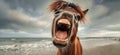 funny horses, funny animal face. laugh animal. Generative Ai Royalty Free Stock Photo