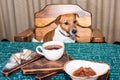 Funny hungry jack russell dog in kitchen eating and drinking tea on table.