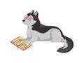 Funny husky dog in glasses reading book flat style, vector illustration Royalty Free Stock Photo