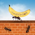 Illustration of ant with banana