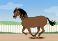 Illustration of horse gallop