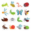 Funny insect set, bug, beetle, butterfly symbol Royalty Free Stock Photo