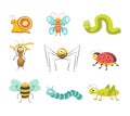 Funny insects with cheerful facesisolated illustrations set Royalty Free Stock Photo