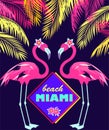 Funny invitation for night Miami beach party with fan-leaved palms, cut pair pink flamingo and frangipani flowers. Print for poste