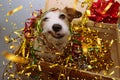 Funny jack russell dog between golden colorful serpentine streamers inside a vintga suitcase celebrating new year, birthday or