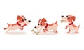 Funny Jack Russell Terrier Character Running and Gnawing Bone Vector Set