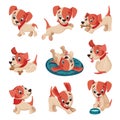 Funny Jack Russell Terrier Character Wriggling Tail, Running and Sitting Vector Set Royalty Free Stock Photo