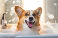 FunnyÂ joyful CorgiÂ dog in bathtub, soap foam flying all around.