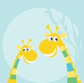 Funny jungle yellow giraffes Royalty Free Stock Photo