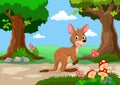 Funny kangaroo with a background of a beautiful garden Royalty Free Stock Photo