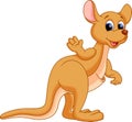 Funny kangaroo cartoon Royalty Free Stock Photo