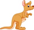 Funny kangaroo cartoon Royalty Free Stock Photo