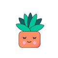 Funny kawaii flower, houseplant with a face.