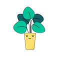 Funny kawaii flower, houseplant with a face.