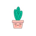 Funny kawaii flower, houseplant with a face.