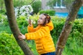 Funny kid girl with ponytails in a yellow jacket climbed a tree and sniffs white flowers on a branch of an apple tree