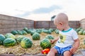 Funny kid sits in a tractor cart with watermelons