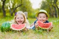 Funny kids taste watermelon. Child Healthy Eating