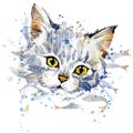 Funny kitten and fish T-shirt graphics Royalty Free Stock Photo