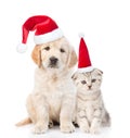 Funny kitten and golden retriever puppy in red christmas hats together. isolated on white background Royalty Free Stock Photo