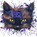 Funny kitten T-shirt graphics, Funny kitten illustration with splash watercolor textured background. Royalty Free Stock Photo