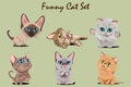 Funny Kitty Set