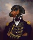 Funny Dog Oil Painting, General Royalty Free Stock Photo