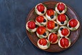 Funny Ladybird Snack Appetizer with Tomato on Crackers with cheese on a dark background Royalty Free Stock Photo