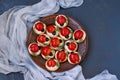 Funny Ladybird Snack Appetizer with Tomato on Crackers with cheese on a dark background Royalty Free Stock Photo