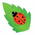 Funny ladybug sits on a leaf, vector illustration isolated on a white background, childish image, insects, bugs , icon Royalty Free Stock Photo