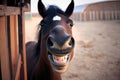 funny laughing horse with black brown eyes and smiling muzzle